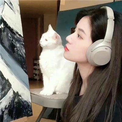 愤怒的公牛