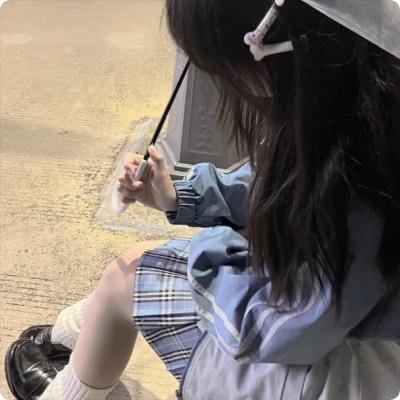 妙探双龙
